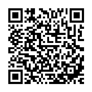 本体的思维在那一刻只剩下简单的如同原始野兽般的冲动暴躁感二维码生成