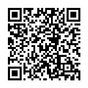 本來所有华国人都以为少林武僧会走上擂台应战的二维码生成