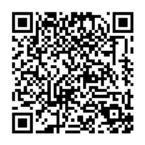 本公主听过不少紫霄剑宗被你们巨象仙宗等一干势力联合欺压的传闻二维码生成