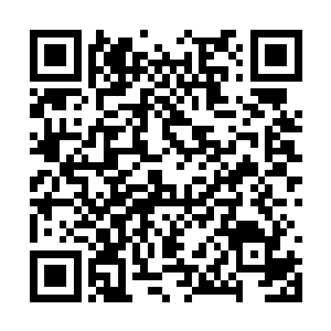 本周的公告牌单曲排行榜前十名还有两个全新面孔二维码生成