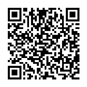 本圣会不惜一切代价帮你夺回太古星河支流以及那件远古至宝二维码生成