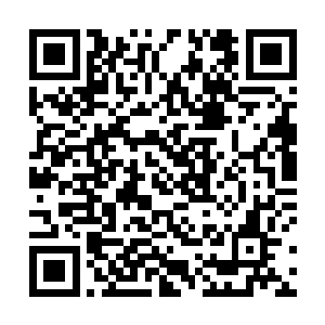 本城主便和释言大师一起向这选定的十名弟子调查问询二维码生成