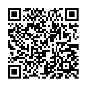 本域可以打击到在界膜豁口突入进来的敌方世界二维码生成