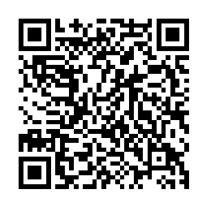 本太子能够越级别和寻常大圣域七重天抗衡已经是让人匪夷所思二维码生成