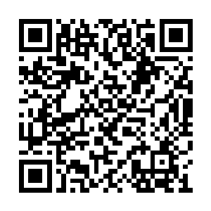 本姑娘只是觉得这玉兰绣裙适合今日的场合罢了二维码生成