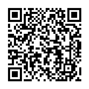 本宫只是听说备受皇儿宠爱的那位神秘女子出现在皇都二维码生成