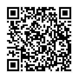 本将军倒是认为丞相还有伊大人的想法大可一试二维码生成