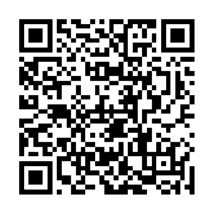 本尊在这方圆万里之内感应到一种隐约觉得熟悉的味道二维码生成