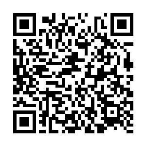 本尊记得还有一个秘法能够即时再次修订三界律条二维码生成