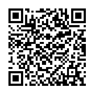 本少一定会将你们给本少的耻辱加倍返还给你们二维码生成