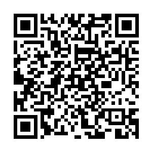 本少一定要趁着这贱人还没彻底成长起来将其干掉二维码生成
