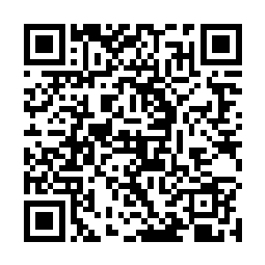 本少主最喜欢的就是将你们这些强者给一一斩杀的快感二维码生成