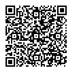 本就为了展示那颗蓝宝石项链而特意穿的v字开胸礼服再也无法掩饰剩下三分之二部分酥胸二维码生成