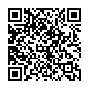 本就是一株只差数十年上百年就可达到万年年份的天地灵物二维码生成