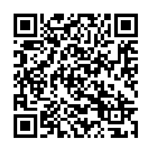 本就是从新生中挑出来的五个顶尖天才组成的队伍二维码生成