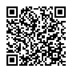 本就离斋天位只有一线之差的议长也终于在不久前完成了蜕变二维码生成
