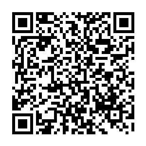 本就紧张的气氛随着慕容仙儿这一声狂妄冰冷的讥讽声而更加的剑拔弩张二维码生成
