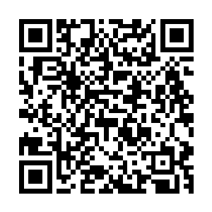 本就胆小懦弱的小皇帝被吓得哭哭啼啼几乎一病不起更不用说二维码生成
