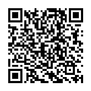 本属于自己的血肉此刻在这位巫王的口中翻转咀嚼二维码生成