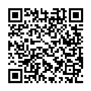 本应该安静无声负责侍候的最忠心侍者们眼眶全都红了二维码生成