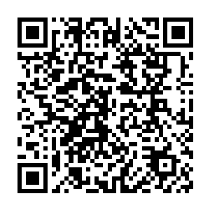 本应该欣喜若狂的光头强情不自禁感到一丝寒意从脊梁骨后面爬了上来二维码生成
