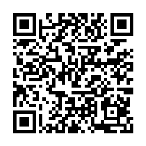 本应该还在巡视领地的麒麟……居然提前回来了二维码生成