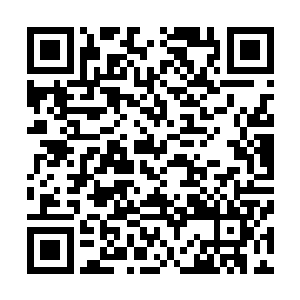 本座也只曾在盂兰盆会上听中如元君提到过这个阵法的图形二维码生成