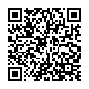 本座今日便要以你的血和元神来祭奠本座那惨死的孩儿二维码生成