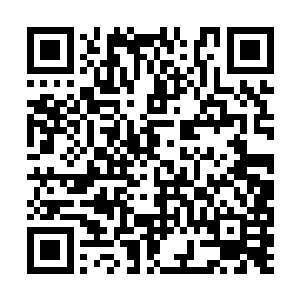 本座在这妖族圣地的帮助之下并没有使得灵魂消散二维码生成