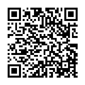 本座当年和一些前辈一起被你们人族追杀来到这该死的海域二维码生成