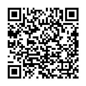 本座本来也以为这小丫头的魂魄会变成孤魂野鬼被阴差勾走二维码生成