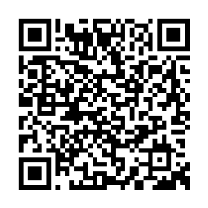 本想着杨晨能单独一人在实验室里呆上两天两夜二维码生成