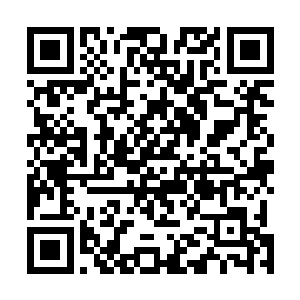 本是希望树心道人能够利用这段时间加强对天道院的控制二维码生成