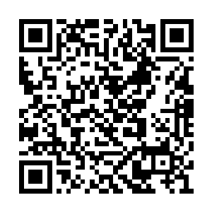 本来丁羽是准备让她们母女两个人住在家里面的二维码生成