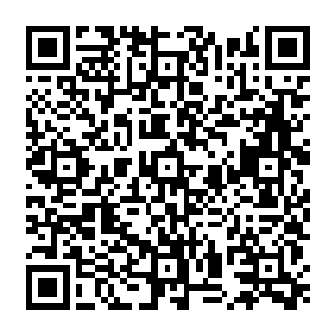 本来二人一腔不甘和对于谢芳华的好奇在看到他们这样出来的这一刻都突然消失不见二维码生成
