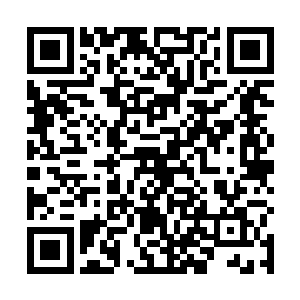 本来他想趁着楚湘天魂不守舍的时候先得到第一手视频二维码生成