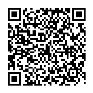 本来他还想着刚才那家伙死后身体中的生命能量肯定会很快就流失干净的二维码生成