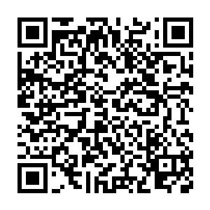 本来以为一个冲锋或者一顿炮击就能将华夏革命军给打的溃不成军二维码生成