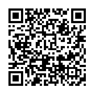 本来以为上一场成林已经消耗了对方大部分体力二维码生成