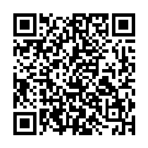 本来以为空中强盗是一些被逼无奈的武者自发组成的强大力量二维码生成