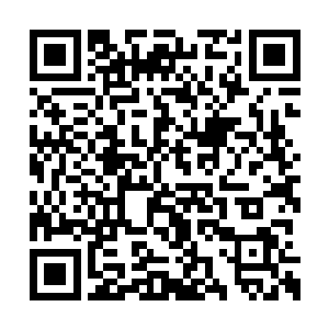 本来以二货不至于说压制不了这俩小家伙的破壳二维码生成