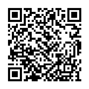 本来以张准为目标的两只扎戈也转向冲向了王铮二维码生成