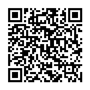 本来你们把本座从沉睡之中唤醒本座应该感谢你们二维码生成
