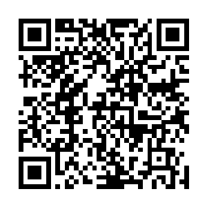 本来冲向水幽兰老禅师和诸葛青云的至强者们全部停了下来二维码生成