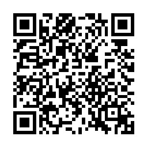 本来刘在石和徐贤还想靠近李光洙之后找机会out掉他的二维码生成