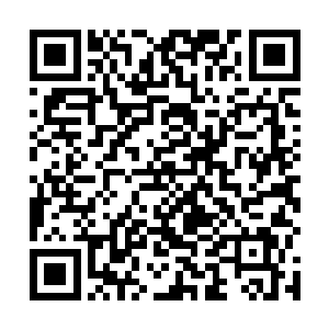 本来剑拔弩张的气氛被力莲这么一弄就有些松弛下来了二维码生成