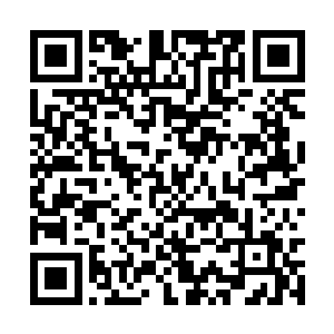 本来反对官制革新的官员纷纷闭紧了嘴巴不再反对二维码生成