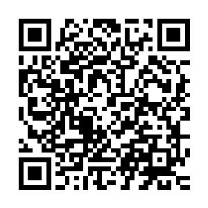 本来因为他要提柳姨娘为贵妾而蠢蠢欲动的下人一下就老实了二维码生成