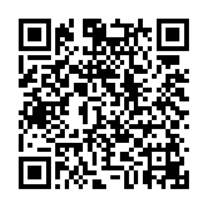 本来因为开始的那一个嗝让长毛这个角色有了偏差二维码生成