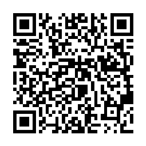 本来在这次的袭击中魔族的实力就损失了百分之九十二维码生成